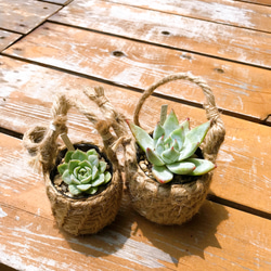 ♡多肉植物に♡お気に入りの植物に♡鉢カバー♡手編み鉢♡ブランコ鉢♡ 4枚目の画像