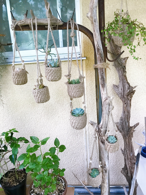 ♡多肉植物に♡お気に入りの植物に♡鉢カバー♡手編み鉢♡ブランコ鉢♡ 1枚目の画像