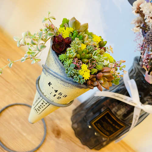 ☆多肉植物 寄せ植え〜手作り 木製手押しカート アイスクリーム屋さん