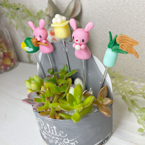 ハンドメイド ガーデンピック お月見ピック 多肉植物 多肉植物