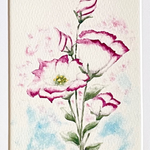 トルコキキョウ – 荒井克子 日本画