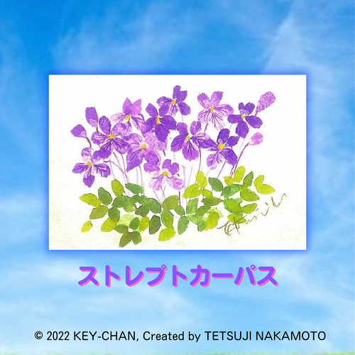 オーダーメイド水彩画「ストレプトカーパス」0809 絵画 キー