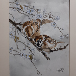 水彩画　透明水彩　スズメと桜　雀　絵画　春の絵　春の鳥　マーメイド紙　アート 最適な価格 Amazon.co.jp: 春の 春の絵 絵画 雀 スズメと桜 透明