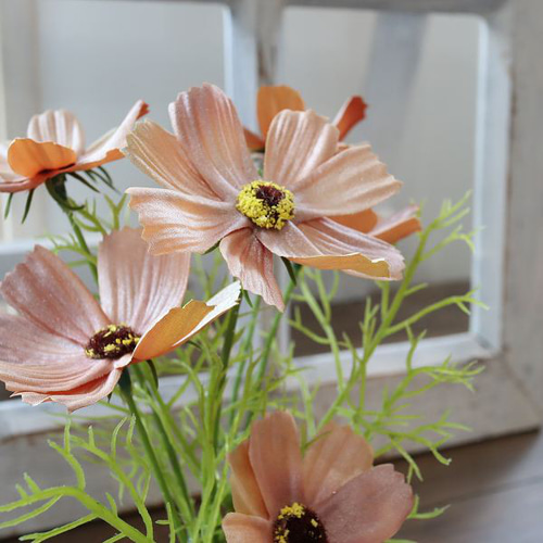 アンティークコスモス 秋桜 魔法の水 マジカルウォーター インテリア