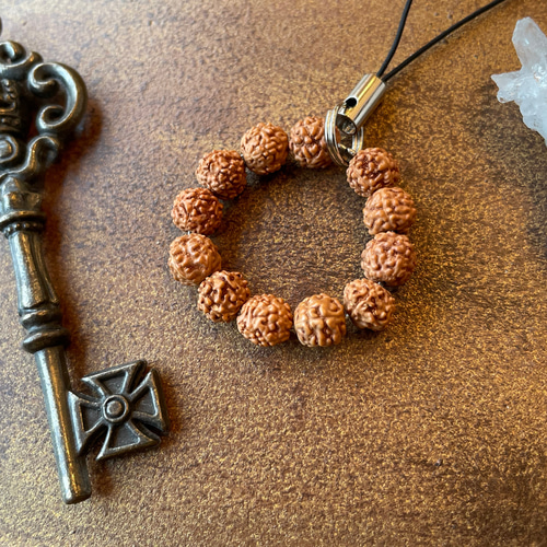 強力な浄化＊ルドラクシャ(金剛菩提樹の実) その他アクセサリー