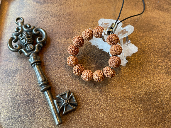 強力な浄化＊ルドラクシャ(金剛菩提樹の実) その他アクセサリー