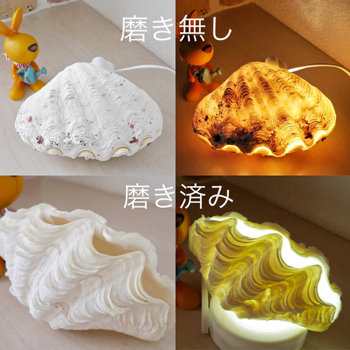 貝で作成している絵