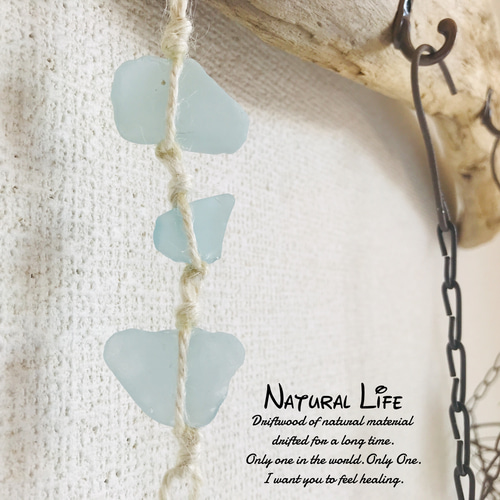 流木&シーグラス⁎✧✧海を感じるお洒落なホルダー✧✧エアプランツ