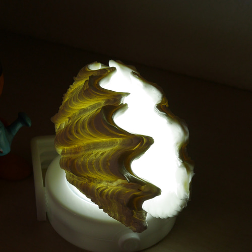 訳ありB級品 でも激美！ 宮古島産 天然シャコ貝 磨き済み SSSサイズ