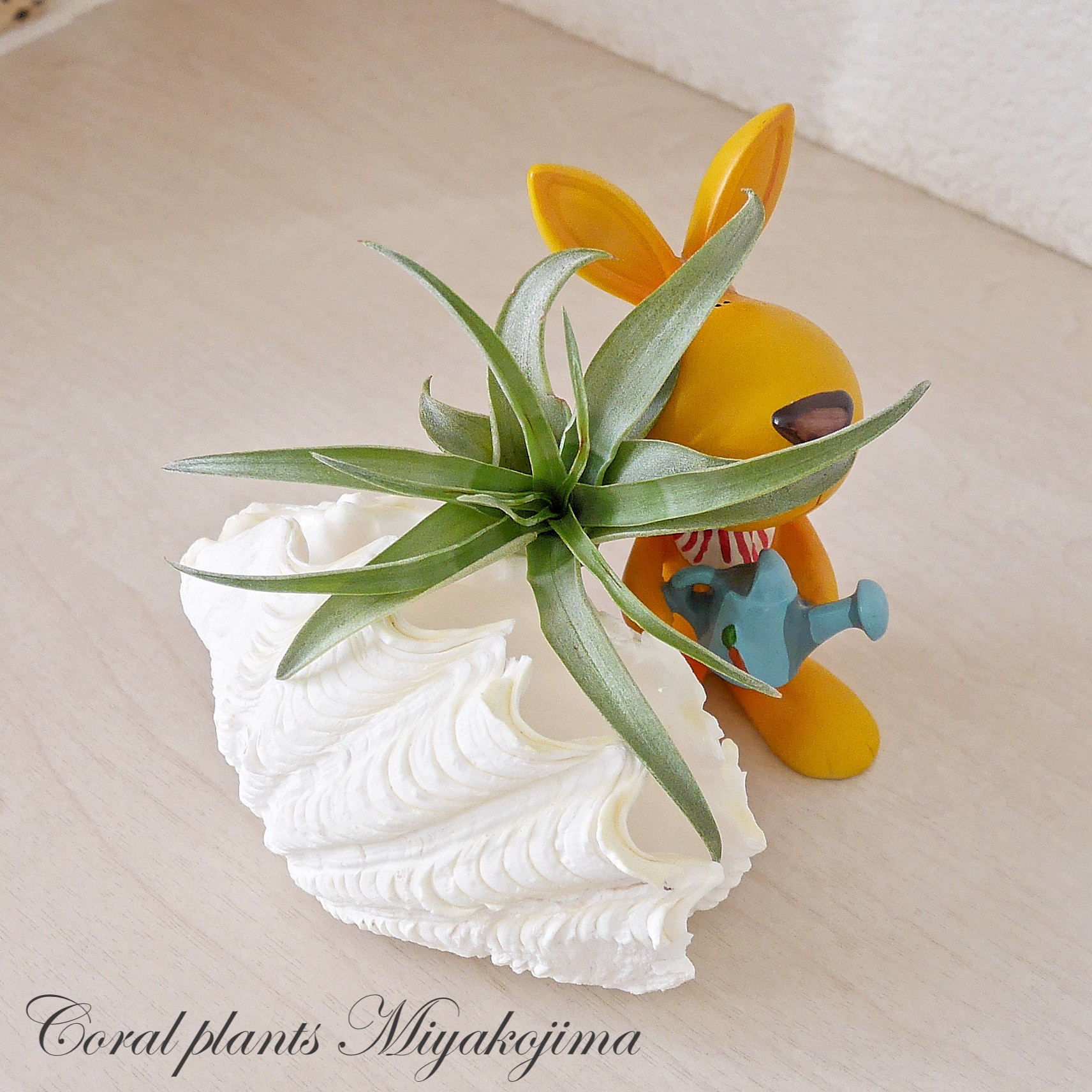 【ししゃも】古ガラスまとめ 耐熱直火可 ガラスポット 1900ml 1300ml 1100ml 紅茶ポット