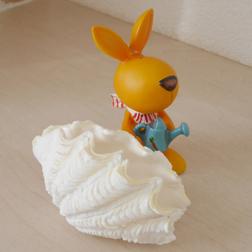 シャコ貝 訳ありB級品 でも激美！ 宮古島産 天然シャコ貝 磨き済み SSSサイズ