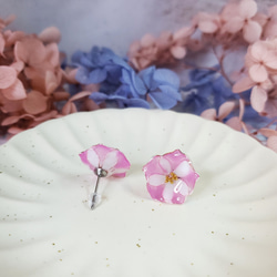 ピンクの朝顔の花の液体樹脂のイヤリング 2枚目の画像