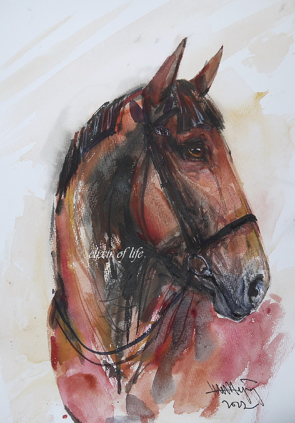 馬　水彩肉質画　印あり　箱あり 馬 水彩肉質画 印あり 箱あり 馬の横顔2021（A4サイズ、水彩画用紙、