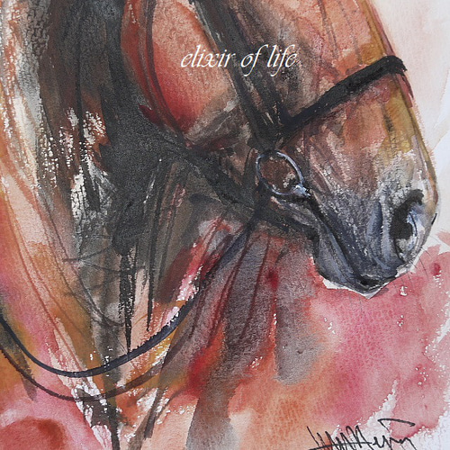 馬の横顔2022(水彩画用紙、21cm×29cm、A4サイズ、墨