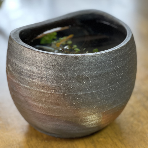 再販】リビング観賞用メダカの水槽 炭化焼き陶器の卓上メダカ鉢