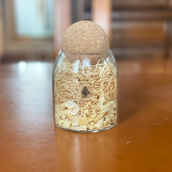 森からの贈り物　Aomori-Hiba scented glass box -青森ヒバの香り- 12枚目の画像