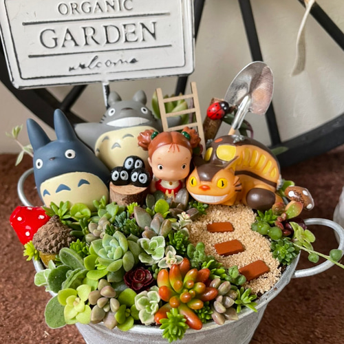 受注制作 箱庭風多肉植物寄せ植え 多肉植物 まぁちゃん 通販 14433766
