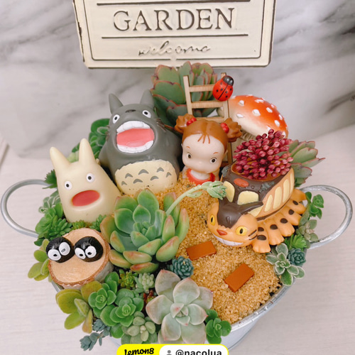 受注制作 箱庭風多肉植物寄せ植え 多肉植物 まぁちゃん 通販 14433766