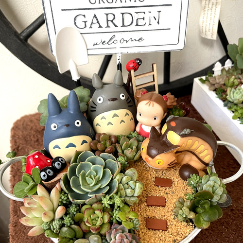 値下げしました♪♪★★箱庭風❤️★寄せ植え★このまま飾れます★多肉植物★★ 受注制作 ゲート箱庭風多肉植物寄せ植え その他インテリア雑貨