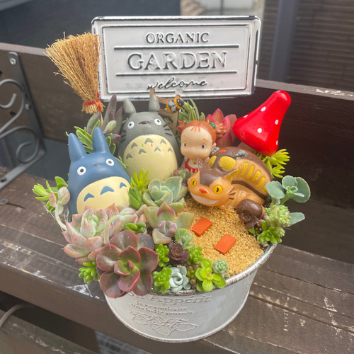 値下げしました♪♪★★箱庭風❤️★寄せ植え★このまま飾れます★多肉植物★★ 母の日にも〜受注制作 円形わんちゃんにゃんこ箱庭風多肉植物寄せ植え