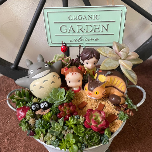値下げしました♪♪★★箱庭風❤️★寄せ植え★このまま飾れます★多肉植物★★ 多肉植物の寄せ植え♡箱庭風♡そのまま飾れる