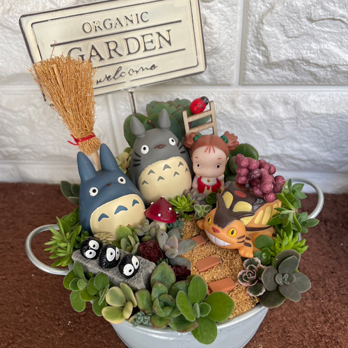 値下げしました♪♪★★箱庭風❤️★寄せ植え★このまま飾れます★多肉植物★★ ☆送料無料☆♡そのまま飾れる♡箱庭風多肉植物寄せ植え