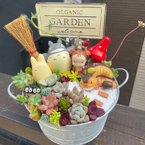 受注制作 箱庭風多肉植物寄せ植え 多肉植物 まぁちゃん 通販 14433766