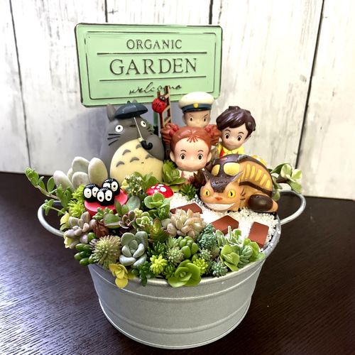 受注制作 箱庭風多肉植物寄せ植え 多肉植物 まぁちゃん 通販 14433766
