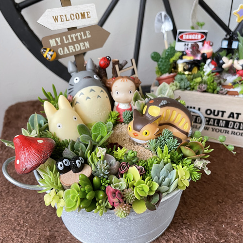 受注制作 箱庭風多肉植物寄せ植え 多肉植物 まぁちゃん 通販 14433766