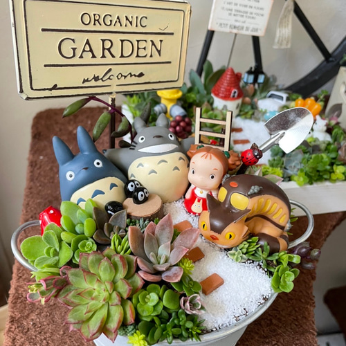 受注制作 箱庭風多肉植物寄せ植え 多肉植物 まぁちゃん 通販 14433766