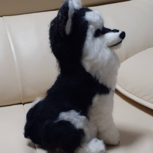 羊毛フェルト シベリアンハスキー 羊毛フェルト Kingこうた 通販
