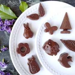 コニファーのチョコレート型（22）　シリコン型　シリコンモールド　お菓子　手作り　プレゼント 2枚目の画像