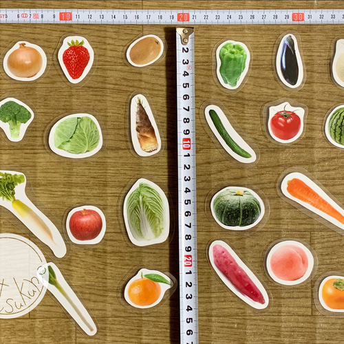 送料込み》食育教材『旬の野菜と果物』〜食育グッズ〜B4マグネット式