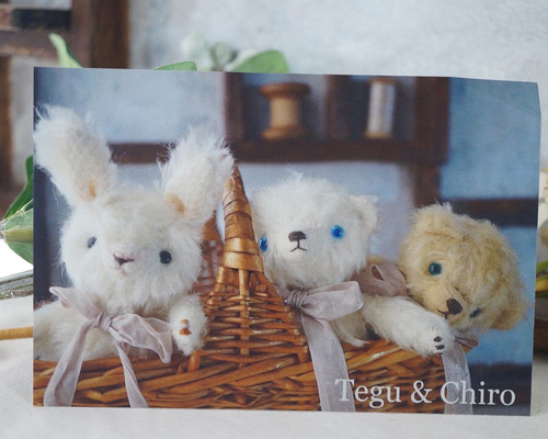 チルぬい9体セット　ポストカード2枚付き Appel Toi】推しを可愛く持ち運べる「ぬいポンチョ」「おくるみ