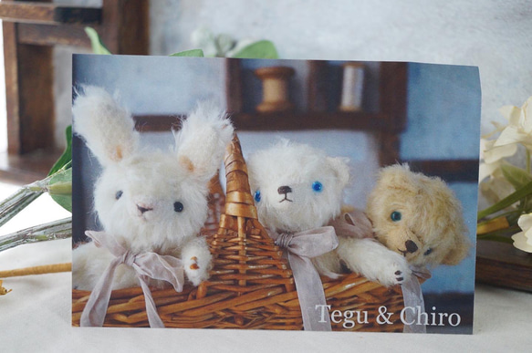 ぬいぐるみポストカード3枚セット ポストカード Tegu & Chiro 通販