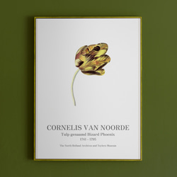 北欧スタイルのポスター、シンプルスタイルに映える植物系のアートポスター、チューリップ【N-0058】 5枚目の画像