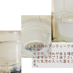 メディシンボトルにミモザブーケ　ボタニカル 7枚目の画像