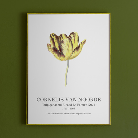 北欧スタイルのポスター、シンプルスタイルに映える植物系のアートポスター、チューリップ【N-0060】 5枚目の画像
