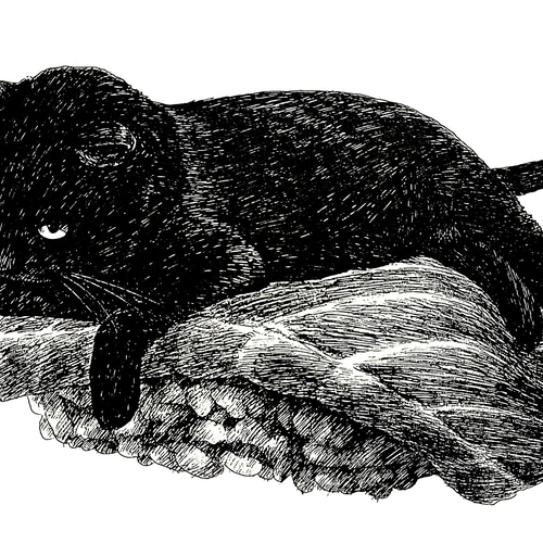 ◇ 黒猫 寿司 イラスト(原画) ◇ ペン画 水彩用紙 Tシャツ ◇ 黒猫 寿司 イラスト(原画) ◇ ペン画 水彩用紙 Tシャツ