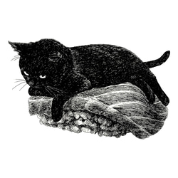 原画 墨絵 黒猫 #43 振り向く黒い猫（高級水彩画用紙、A4サイズ、墨絵、墨、水彩