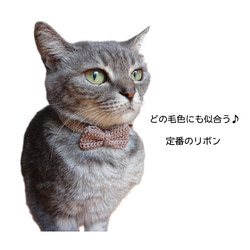 【グレージュリボン】猫ちゃん子犬ちゃんの首輪 2枚目の画像