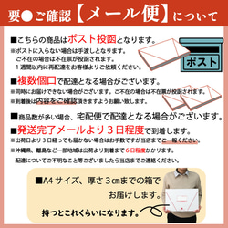 出雲そば 十割 乾麺 国産 4人前 送料無料 乾そば 乾めん 保存食 常備食 メール便 24102 14枚目の画像