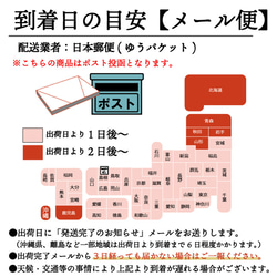 出雲そば 十割 乾麺 国産 4人前 送料無料 乾そば 乾めん 保存食 常備食 メール便 24102 13枚目の画像