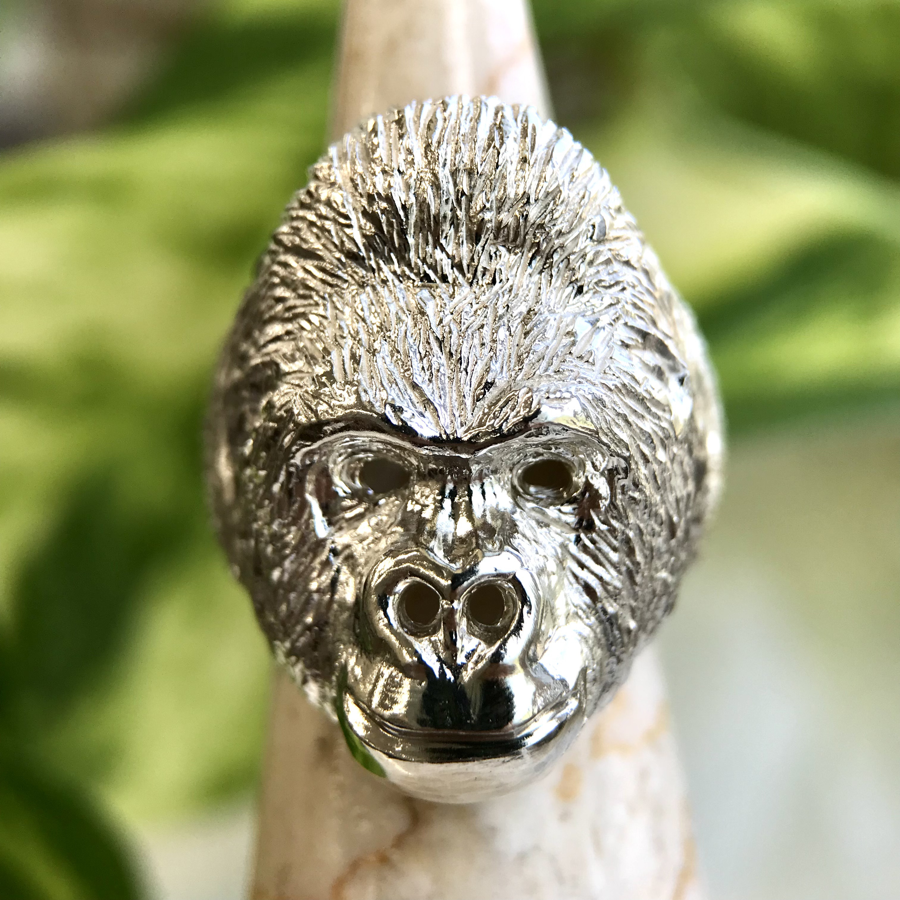 イケメンゴリラシャバーニ指輪・イケメンでイクメンなシャバーニ君