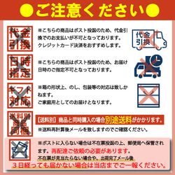 出雲そば 十割 乾麺 国産 6人前 送料無料 乾そば 乾めん 保存食 常備食 メール便 24103 15枚目の画像