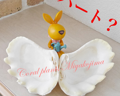 ba99644be3fcdbd6a9c4df1420dbc7