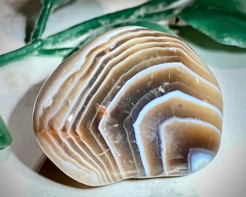 76ae53400ddf8c1d896344aece6d48