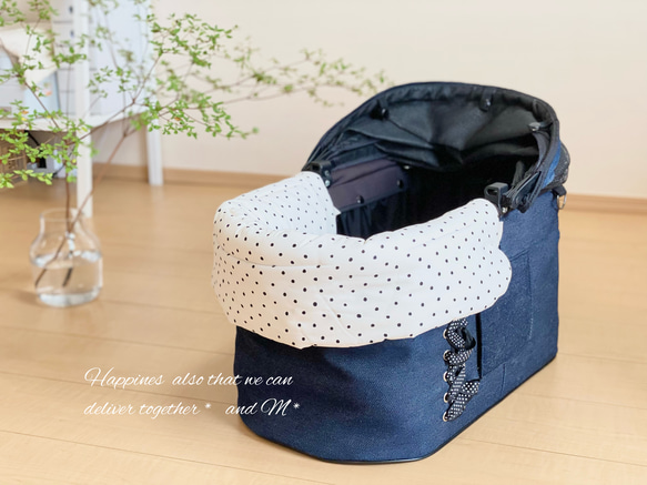 Hiromi★カートクッション＋ピロークッション セット★ピッコロカーネ k-1_tanto3-bb