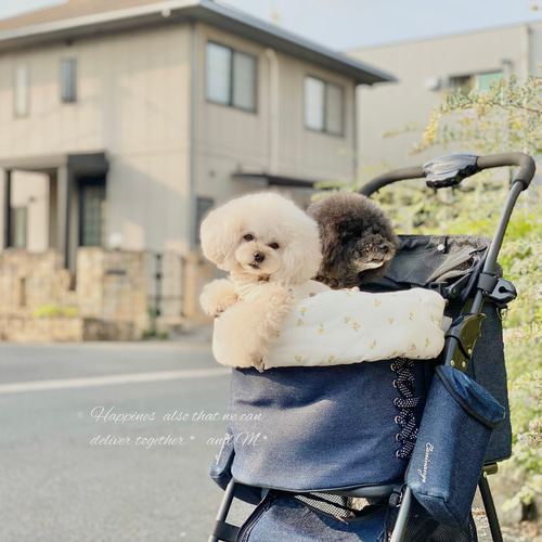 ペット用品　クレア✩.*˚　あごのせクッション　カバー　ハンドメイド ペット用品 クレア✩.*˚ あごのせクッション カバー