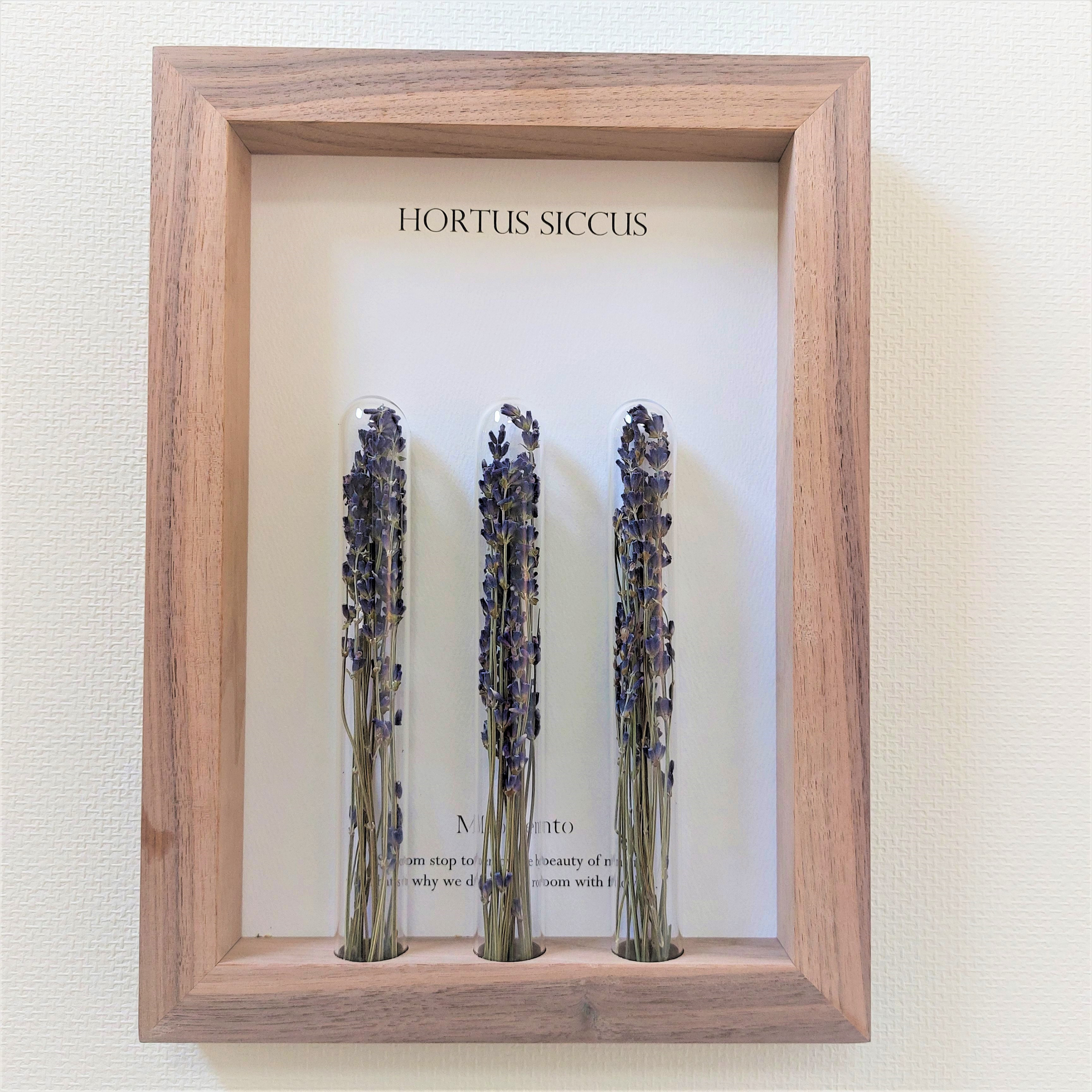 【moemento ボタニカル フレーム×試験管3本 ラベンダー】A-4